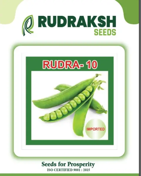 Rudraksh Green Pea (Rudra 10) 1