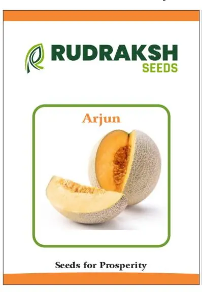 Rudraksh Arjun Muskmelon 1