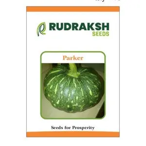 Rudraksh F1 Parker Pumpkin (Medium,Green) Seeds 1