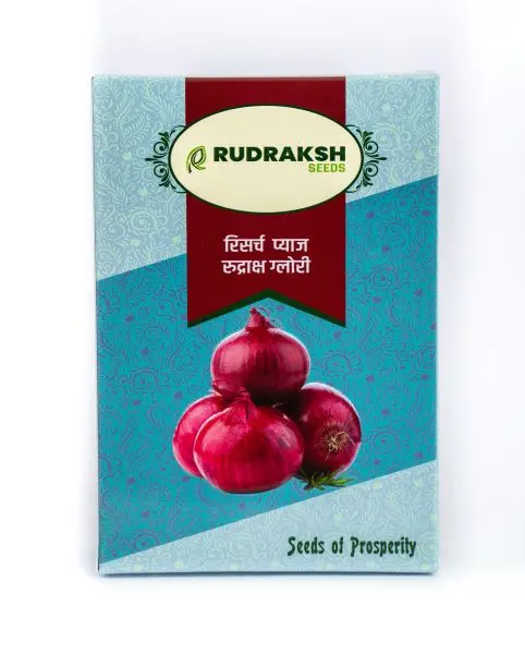 Rudraksh Research Onion Glory Seeds 1