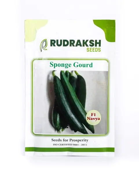 Rudraksh F1 Navya Sponge Gourd Seeds 1