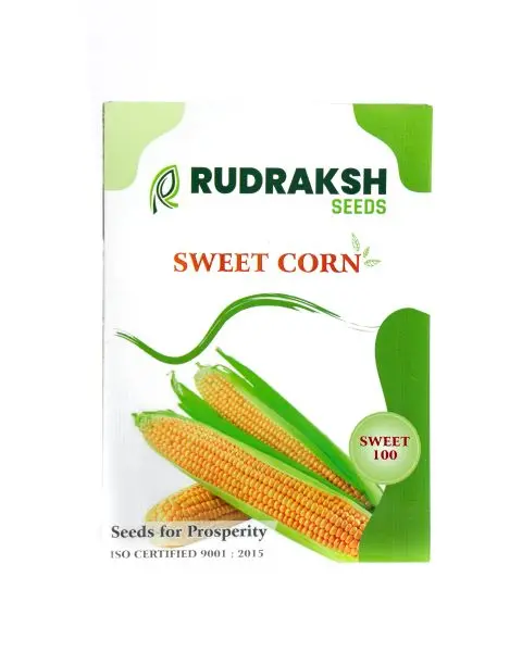 Rudraksh Sweet 100 F1 Hybrid Sweet Corn Seeds 1