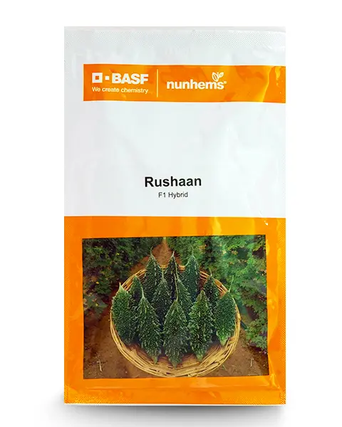 Nunhems Rushaan F1 Hybrid Bitter Gourd Seeds 1