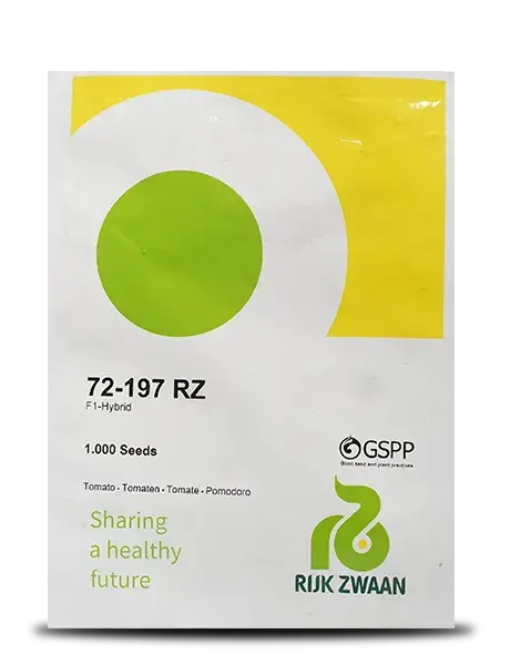 Rz F1 (72-197) Tomato Tomato (Cherry Tomato) 1