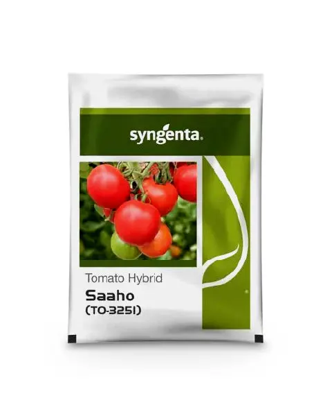 Saaho (To-3251) Tomato Seeds | High Yield Hybrid Seed By Syngenta 1