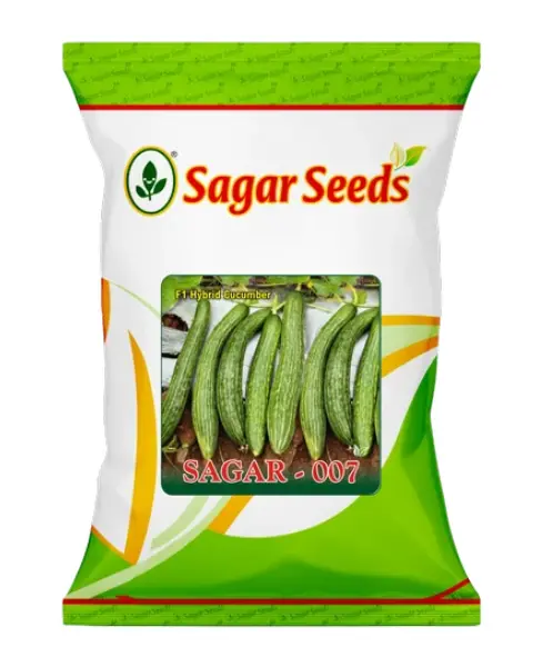 Sagar 007 F1 Cucumber Seeds- Dark Green, Smooth, 25-30Cm, Cylindrical 1