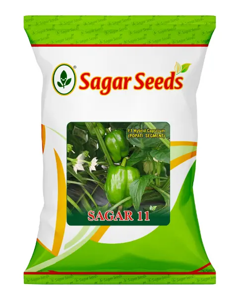 Sagar 11 F1 Capsicum 1