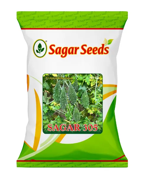 Sagar 305 Hybrid Bitter Gourd Seeds- Dark Green, Blunt Spines, Virus Resistant 1
