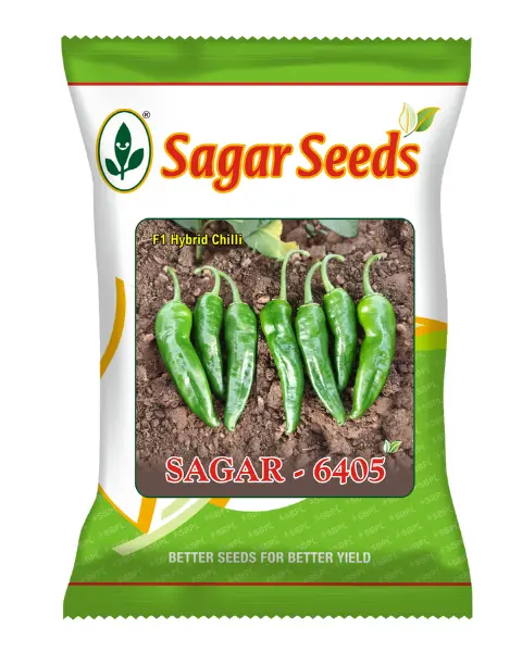 Sagar 6405 F1 Chilli Seeds – Medium Green, High Yield & Pest Resistant 1