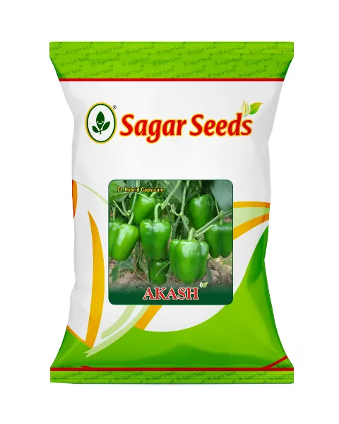 Sagar Akash F1 Capsicum 1