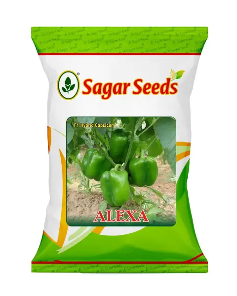 Sagar Alexa F1 Capsicum Seeds 1