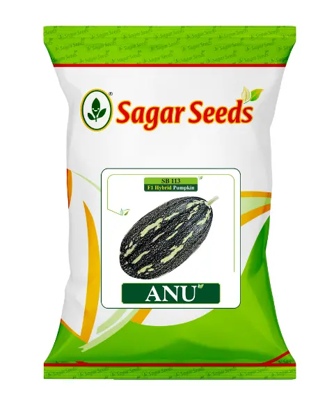 Sagar Anu F1 Pumpkin 1