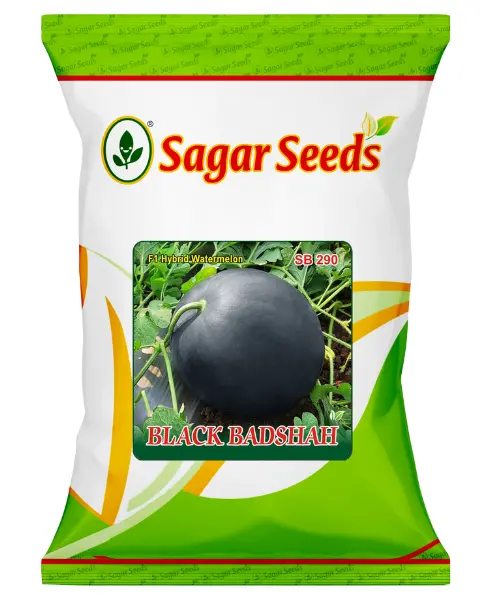 Sagar Black Badshah F1 Watermelon 1
