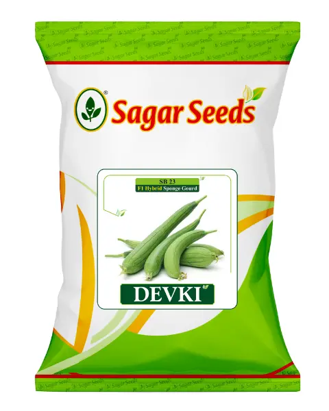 Sagar Devki F1 Spongeguard Seeds- Healthy Growingvine, Sword-Shaped Green Fruit 1