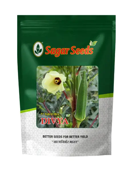 Sagar Divya F1 Okra 1