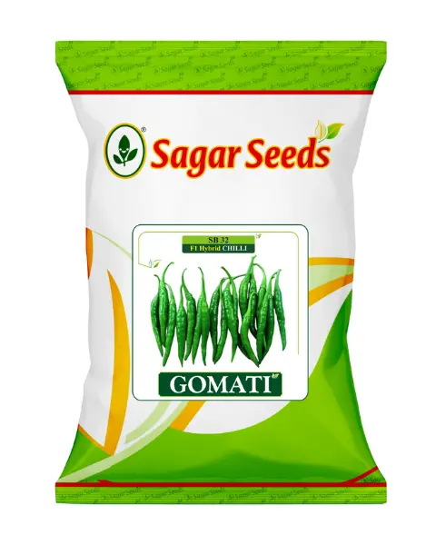 Sagar Gomati F1 Chilli Seeds 1