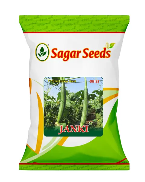 Sagar Janki F1 Sponge Gourd 1