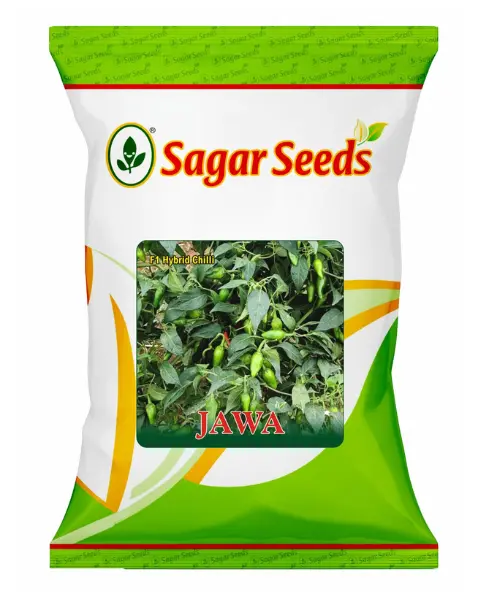 Sagar Jawa F1 Chilli Seeds 1