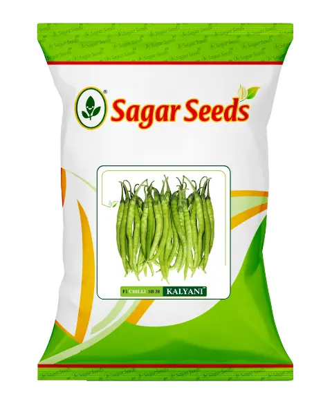 Sagar Kalyani F1 Chilli 1