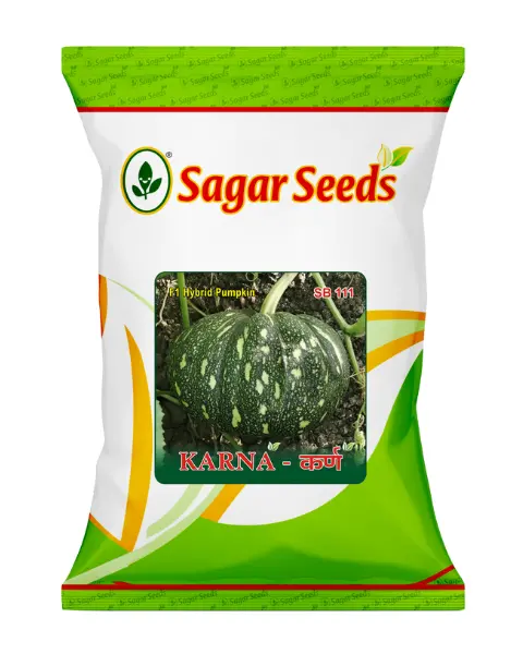 Sagar Karna F1 Pumpkin 1