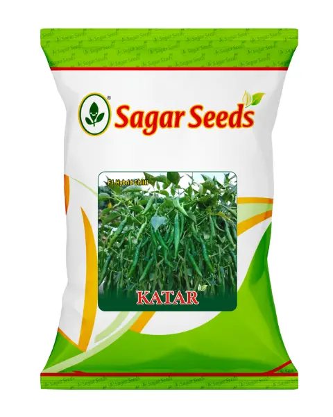 Sagar Katar F1 Chilli Seeds- Dark Shiny Green & Red, High Pungency, Healthy Growth 1