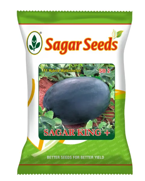 Sagar King Plus F1 Watermelon Seeds – High-Yielding Variety With Excellent Fruiting 1