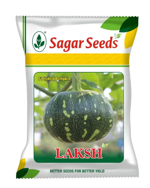 Sagar Laksh F1 Pumpkin Seeds- Early, High Yield, Dark Green, Flat Round, 2.5-3Kg 1