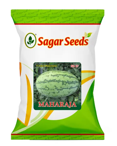 Sagar Maharaja F1 Watermelon 1
