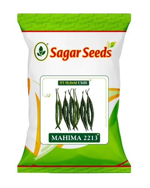 Sagar Mahima 2213 Chilli Seeds- High Yield, Vibrant Color, 9-11Cm 1