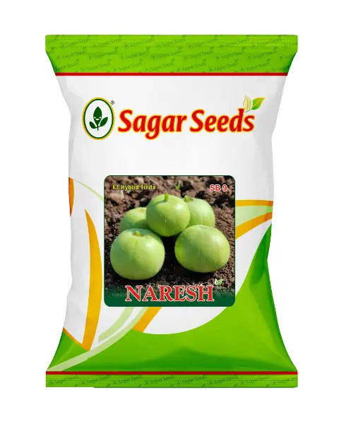 Sagar Naresh F1 Tinda 1