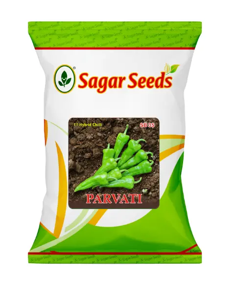 Sagar Parvati F1 Chilli 1