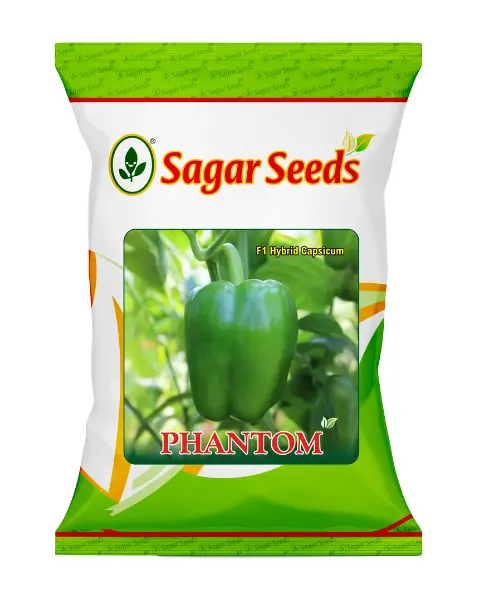 Sagar Phantom F1 Capsicum Seeds – Dark Green, Thick-Skinned & High Yield Variety 1