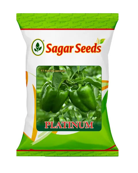Sagar Platinum F1 Capsicum Seeds 1