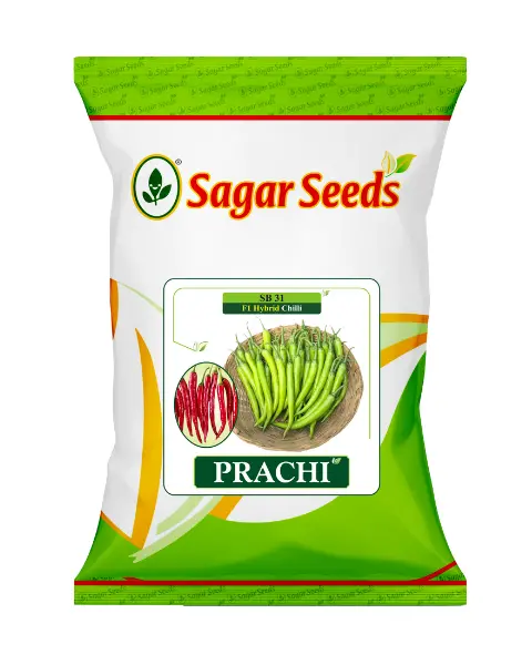 Sagar Prachi F1 Chilli 1