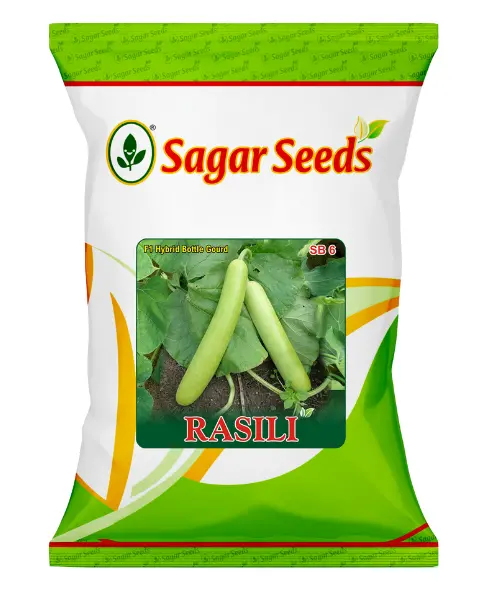 Sagar Rasili F1 Bottle Gaurd 1