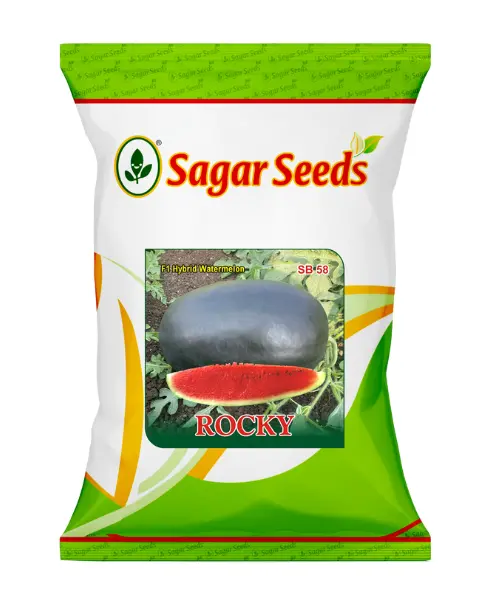 Sagar Rocky F1 Watermelon Seeds- Dark, Crimson, Sweet, 3-7Kg 1