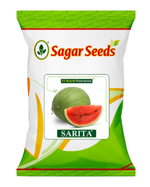 Sagar Sarita Watermelon Seeds- Short, Oblong, Green, Striped, Sweet, Juicy 1