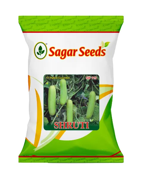 Sagar Shruti F1 Cucumber 1