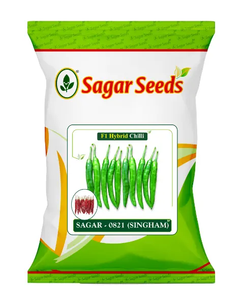Sagar Singham 0821 F1 Chilli Seeds – Dark Green, High Pungency & High Yield Variety 1