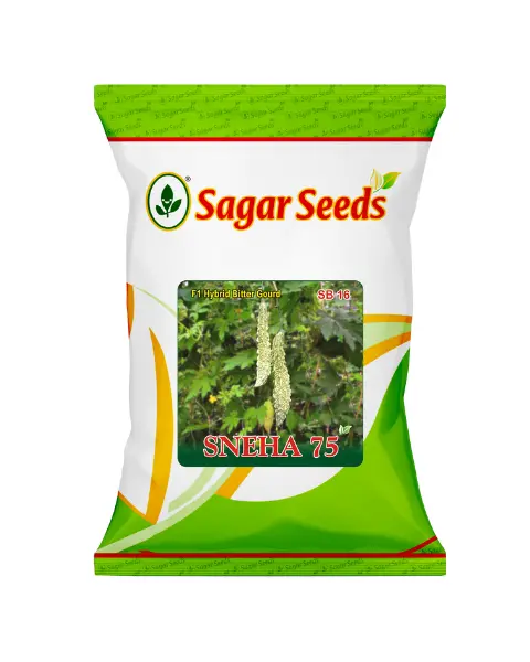 Sagar Sneha 75 F1 Bitter Gourd 1