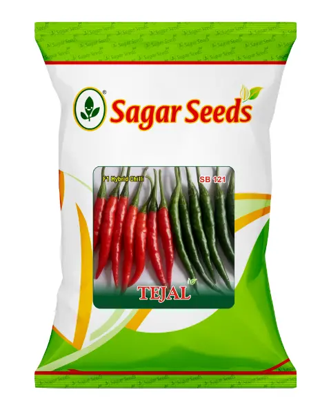 Sagar Tejal F1 Chilli 1