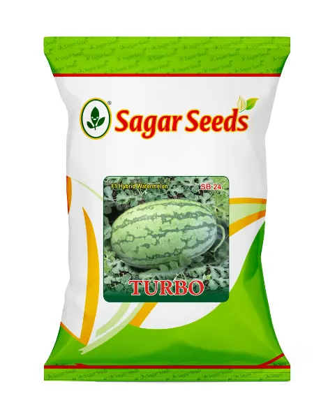 Sagar Turbo F1 Watermelon Seeds – High Yield, Disease Resistant, 10–12 Kg Fruits 1