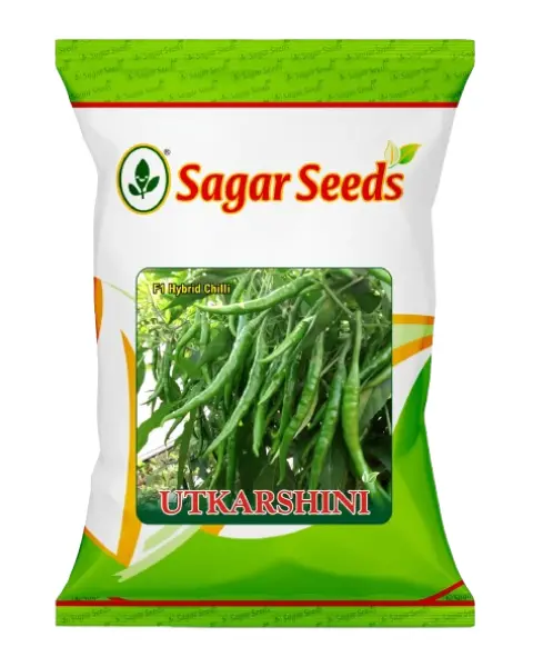 Sagar Utkarshini F1 Chilli Seeds – High Yield, High Pungency & Attractive Green Fruits 1