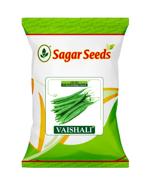 Sagar Vaishali F1 Ridge Gourd 1