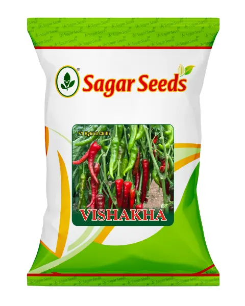 Sagar Vaishakha F1 Chilli Seeds – Deep Red, Low Pungency & High Yield 1