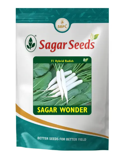 Sagar Wonder F1 Radish Seeds – Long White Root, Fast-Growing 1
