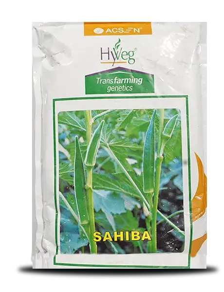 Sahiba Okra Seeds ( साहिबा भिंडी ) 1