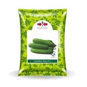 Saira 934 F1 Cucumber 1