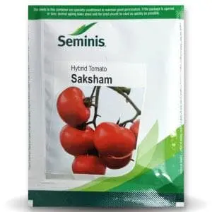 Saksham Tomato Seeds By Seminis | High Yielding Determinate Tomato Variety 1