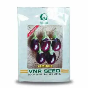 Samidha F1 Hybrid Brinjal Seeds – High-Yield Light Purple Oval Fruits 1